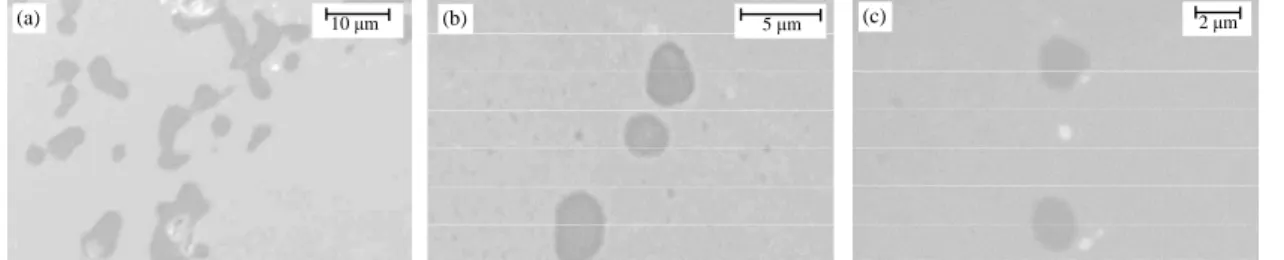 Figure 11    SEM images of typical inclusion observed in Specimen 2–B; (a) as cast, (b)  after 60 min heating at 1473 K, and (c) after 180 min heating at 1473 K