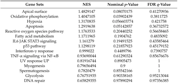 Table 1. Upregulated gene sets of the contralesional cerebellar cortex.