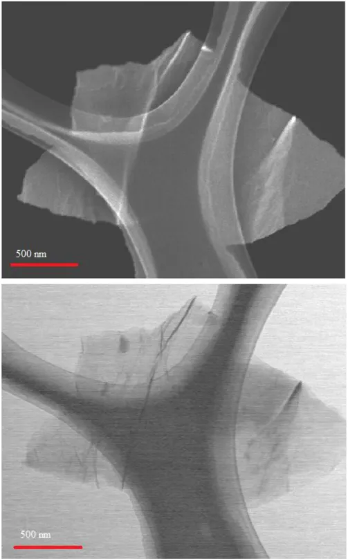 Figure 2.3a: The upper is the SEM image of the NrGO; below is the TEM image of the NrGO