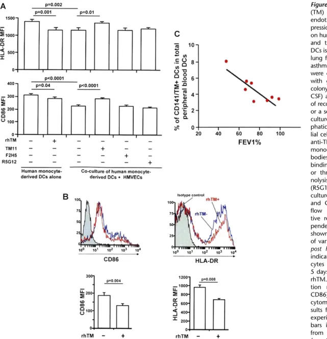 Figure 7. Thrombomodulin (TM) expressed on lymphatic endothelial cells reduces  ex-pression of maturation markers on human dendritic cells (DCs) and the percentage of TM 1 DCs is inversely correlated with lung function in patients with asthma