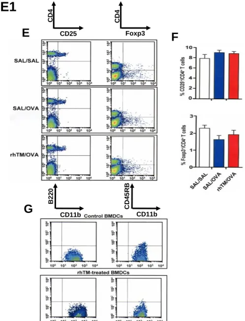 Figure E1. The population of regulatory T cells is unaffected in mice treated with rhTM and in vitro-differentiated bone marrow cells are not plasmacytoid DCs