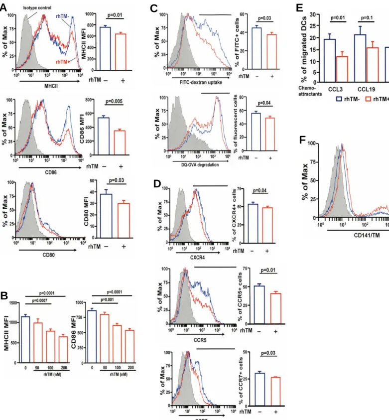 Figure E2. DCs treated with TM are less mature than control DCs (A) CD11c + DCs differentiated in  GM-CSF cultured in the presence or absence of 200nM rhTM (days 4 to 6) were assessed for relative  expression (Mean Fluorescent Intensity: MFI) of MHC II, CD