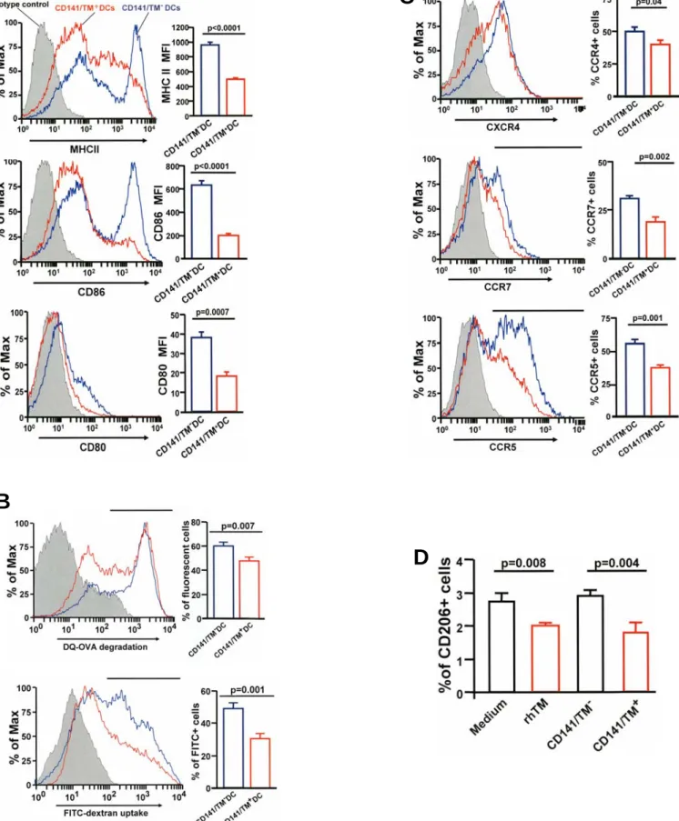 Figure E5. CD141/TM + DCs are immature and have lower mannose receptor (CD206) expression