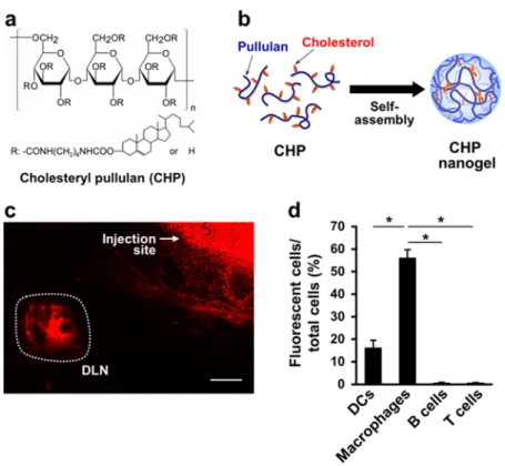 TABLE 1. Dynamic Light Scattering Analysis and ζ -Potential Measurement of the Nanogels or the Complex between CHP a Nanogel and LPA b