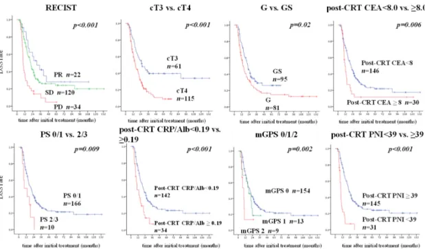 Figure 2. Comparisons of DSS based on each significant prognostic factor in multivariate analysis.