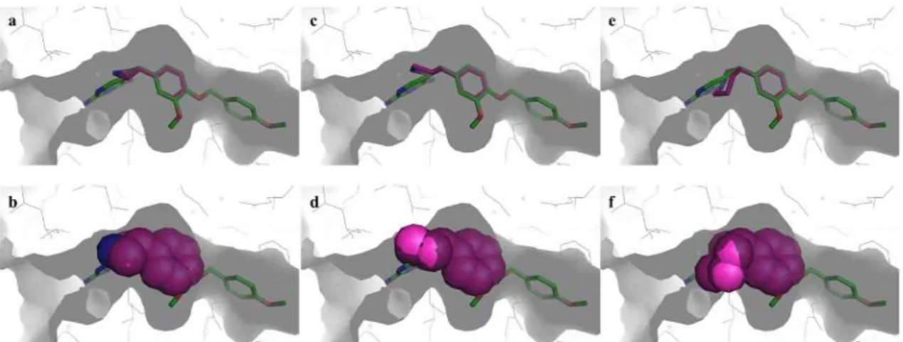 Figure 9.  化合物 I, II, III と GW2580 と CSF-1R との複合体結晶構造の重ね合わせ図  23, 25) 