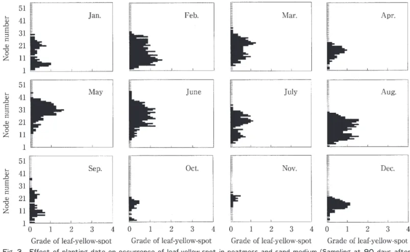 Fig. 3   Effect of planting date on occurrence of leaf-yellow-spot in peatmoss and sand medium (Sampling at 9 0 days after planting)