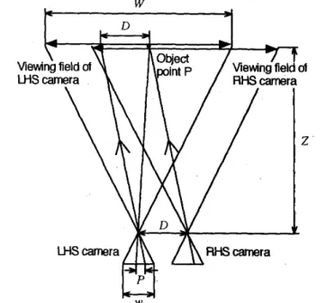 Fig. 1  Binocular cameras, visual fields and images. 
