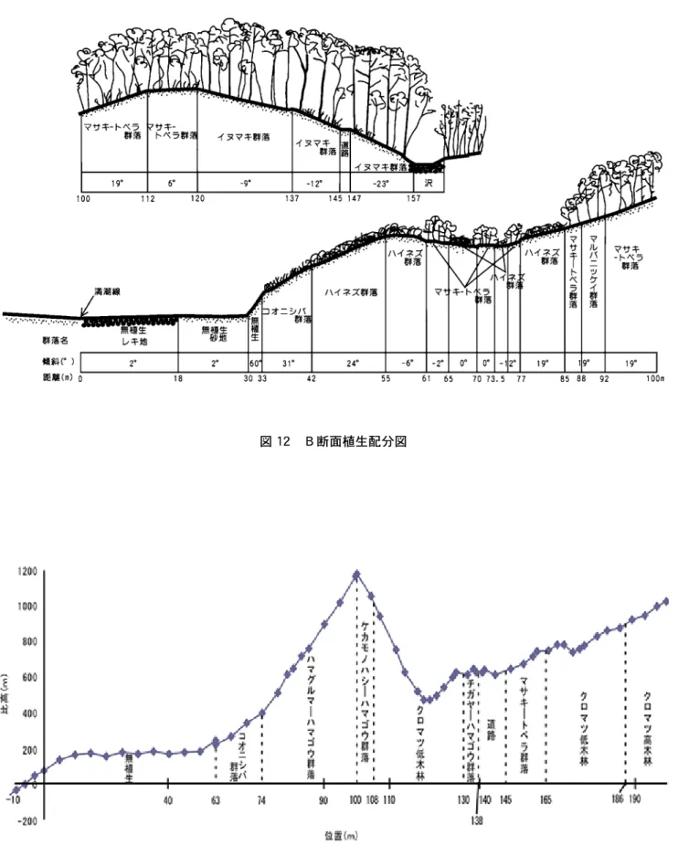 図 13　C 断面植生配分図図 12　Ｂ断面植生配分図