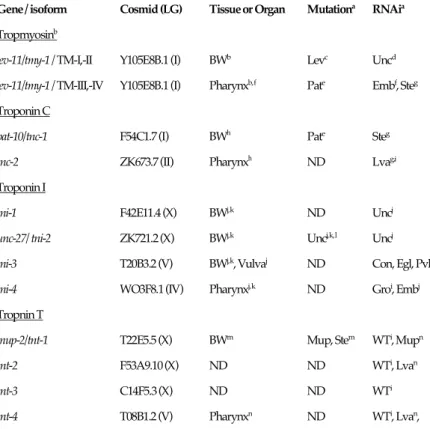 Table 1 Summary of gene, tissue expression and phenotype of tropomyosin and troponin isoforms  in C