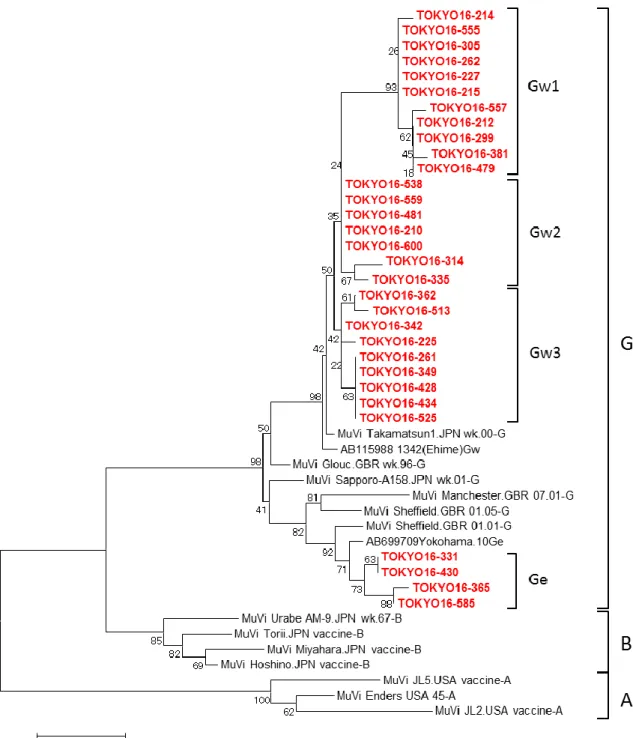 図 4.  ムンプスウイルスの SH 領域（316 塩基）の系統樹 