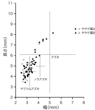 Fig.  6  Size  of  recovered  and  extant  Vigna  seeds. Two  types 