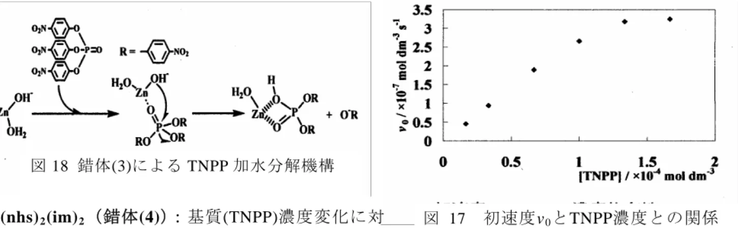 図 18  錯体(3)による TNPP 加水分解機構  図 17  初速度v 0 とTNPP濃度との関係 Zn(nhs)2(im)2（錯体(4)）：基質(TNPP)濃度変化に対  する擬一次速度定数(k obs )及び初速度(v 0 )を求めたと  ころ、k obs に基質濃度依存性はなく､錯体(3)よりも値が小さいため､活性が低いことが示唆され た。また､v 0 はTNPPの濃度増加と共に増加しているが、Michaelis-Menten挙動は示さず、錯体 (3)とは異なる機構で反応が進んでいると考えられる