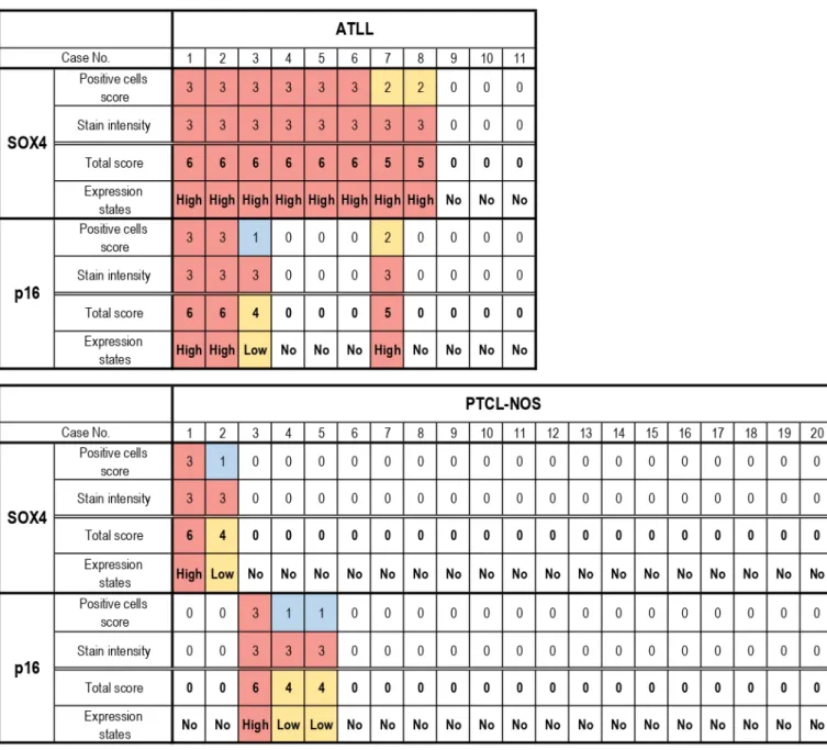 Figure 3. Heatmap representation of SOX4 and p16 immunostaining scores. A total of 8 cases with adult T-cell leuke- leuke-mia/lymphoma (ATLL) and 1 case with peripheral T-cell lymphoma, not otherwise specified (PTCL-NOS) exhibited high  SOX4 expression
