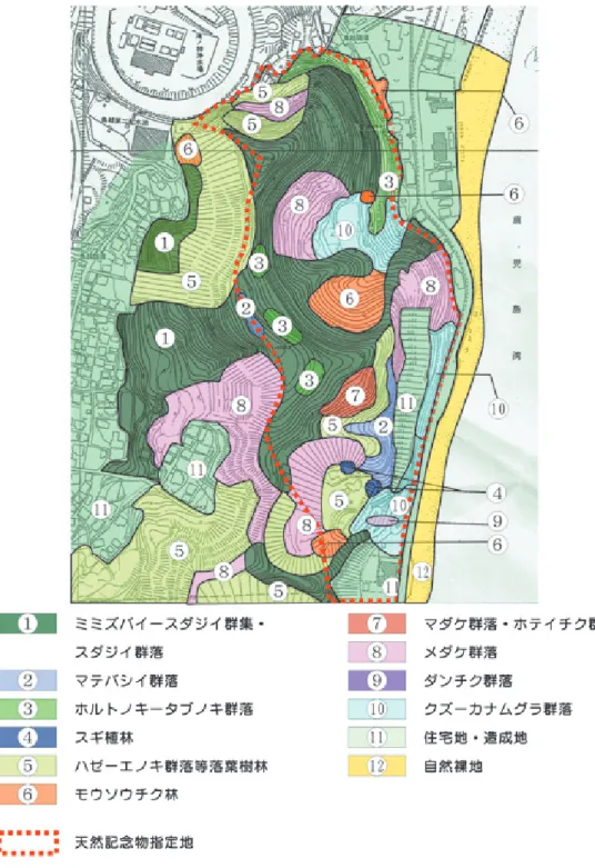 図 5  キイレツチトリモチの発生初期図4 現在植生図