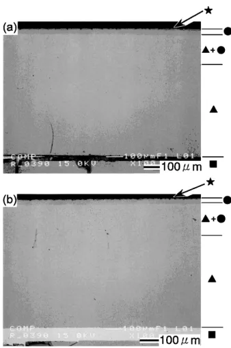 Fig. 3 BEI(Backscattered Electrons Image) cross–sectional microstructure of Fe oxidized at 1273 K in (a) air and in (b) air–10.5 volH 2 O for 7.2 ks.