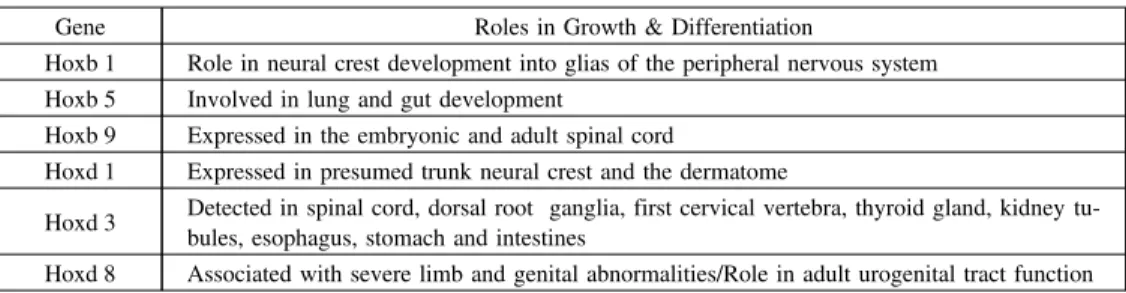 表 5 Adipocyte differentiation（3 T 3-L 1） Gene Roles in Growth &amp; Differentiation