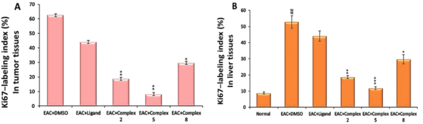 Fig. 2 p53 expression in the tissues of solid tumors (A) and in liver tissues (B) of mice bearing solid EAC tumors