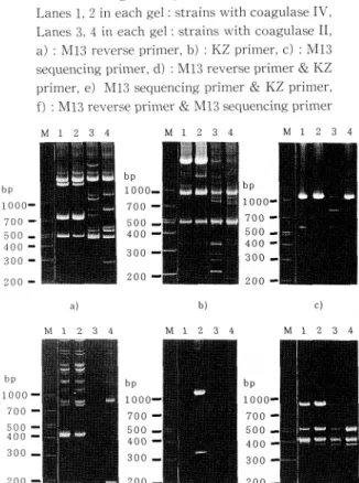 Fig.  2  Comparison  of  amplified  products  by  AP- AP-PCR  according  to  the  buffer  conditions  (MRSA with  coagulase  type  II,  M13  reverse  primer  was used).