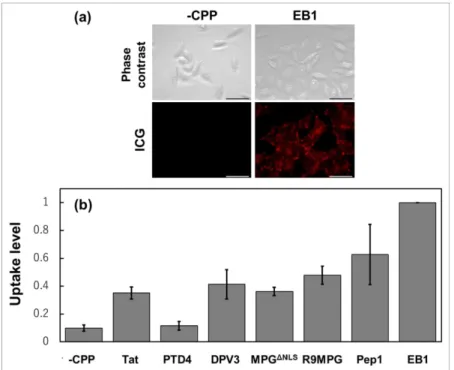 Figure 7. Cellular uptake of ICG-labeled CPP-modified Lactosome particles  [31] . (a) Optical mi- mi-croscopy images of Chinese hamster ovary (CHO) cells cultured with ICG-labeled CPP-modified  Lactosome particles