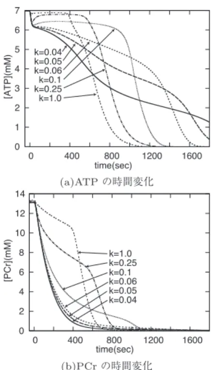 図 4 k が ATP，PCr に与える影響