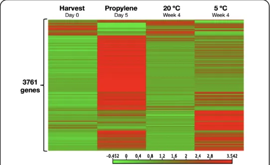 Fig.  1.3.  Heatmap  showing  distinct  sets  of  genes  that  are  regulated  by  independently  by  either  ethylene 