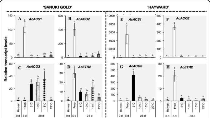 Fig. 2.2.5. Expression of selected ethylene biosynthesis and perception-related genes in Sanuki Gold’ (A, B, C, D) and ‘Hayward’ 
