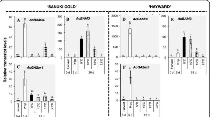 Fig. 2.2.8. Expression of selected genes encoding ripening–related transcription factors in ‘Sanuki Gold’ (A, B, C, D, E) and ‘Hayward’ 