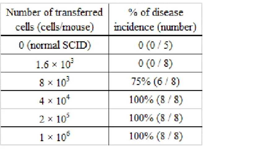 Table 1. Disease incidence of naïve T-cell transferred colitis model 