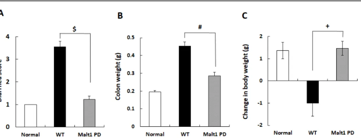 Figure 10. Naïve T cells from Malt1 protease-deficient (PD) mice induced colitis  with less severity 