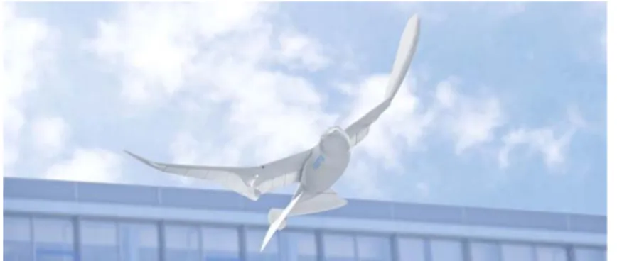 Fig. 1.1: A bird-like robot “SmartBird” developed by FESTO (8) 回転翼機の中でも， 4 つのロータを用いて飛行するクワッドロータは構造が簡単 であり機動性の高さや高度な安定性を有しているため研究対象として注目されて いる．クワッドロータの例として，市販されているものとしては DJI 社が開発し た “Phantom 4 Pro” (5) がある． 一方で，屋内用の無人航空機は小型軽量であることが多く，建物内における点 検・監視やガイドなどに用いら