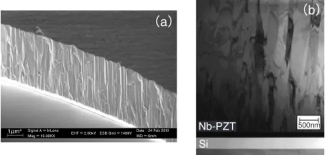 Fig. 3   SEM and TEM images of PNZT cross-sections: (a) SEM image and (b) TEM image.
