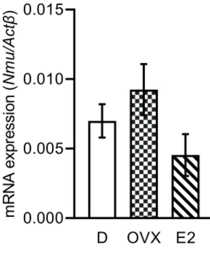 Fig. 5　雌ラットPTにおけるNmu mRNA発現はE 2 処理による変化 