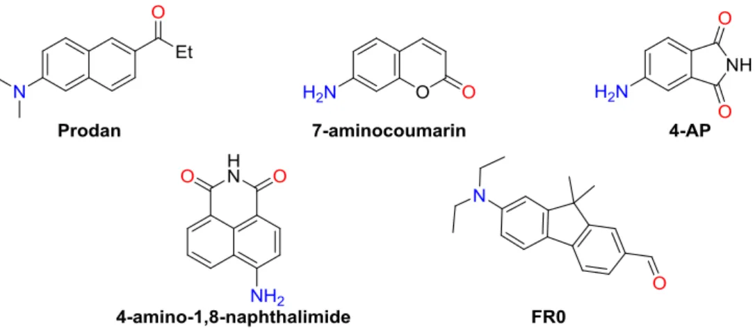 Figure 1-3. Chemical structures of representative ICT fluorophores. 