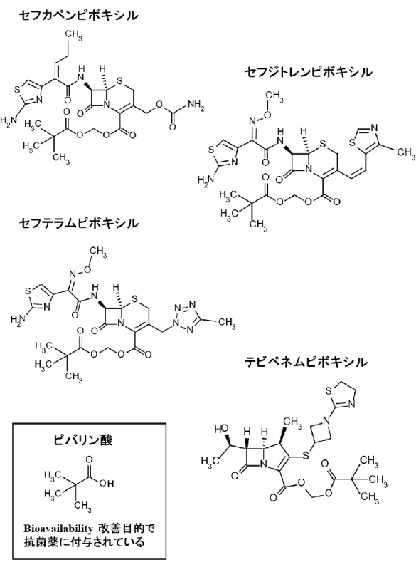 図 1.  国内で認可されているピボキシル基含有抗菌薬 