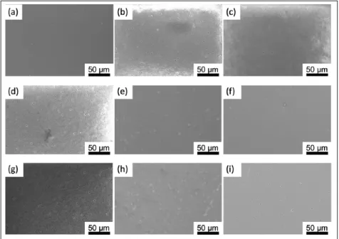 Figure 1.  Scanning electron microscopy views of coated hydroxyapatite (HAp) plates after  being soaked in ethylenediaminetetraacetic acid (EDTA) buffer