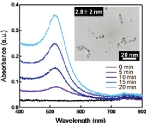 Fig. 3　 The  time-dependence of UV-vis spectra and trans-