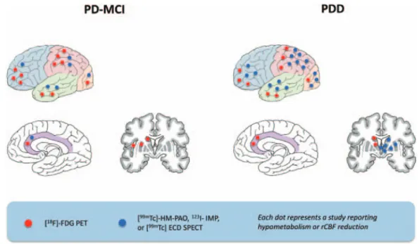 Figure 2  認知症を伴うパーキンソン病（PDD）および軽度認知障害を伴うパーキンソン病（PD-MCI）の潜在的バイオマーカーとして，