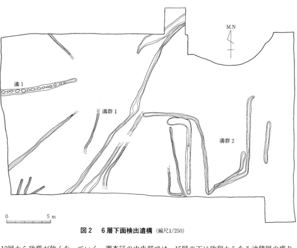 図 2 6層 下面検出遺構 (縮 尺 1/250) 13層 か ら砂 質が強 くな ってい く。調査 区の中央部 で は ,15層 の下 に砂利 か らなる沖積層 の盛 り 上 が りがみ られる。 平面 的 には , 6層 まで は調査 区全面 に分布 している。 6層 以下 は ,調 査 区北東部 を頂部 とし, 調査 区の周縁 に向 って緩 やか に落 ち込 んでい く微高地 とな っている。黒色土 は ,こ の落 ち込 ん で い く部分 に分布 している (図 3)。 また ,弥 生 時代 中期 