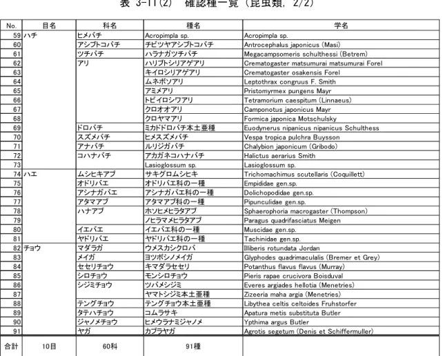 表 3-11(2)  確認種一覧（昆虫類，2/2） 