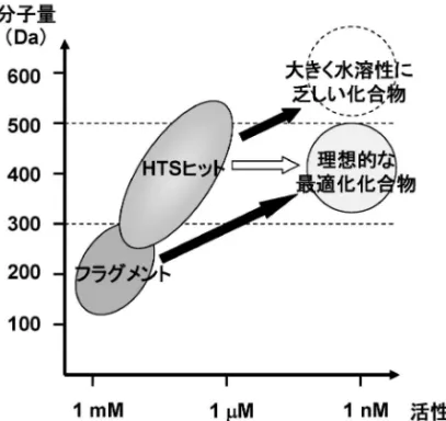 Fig. 3. Schematic Representation of the Relation between Biological Activity and Molecular Mass