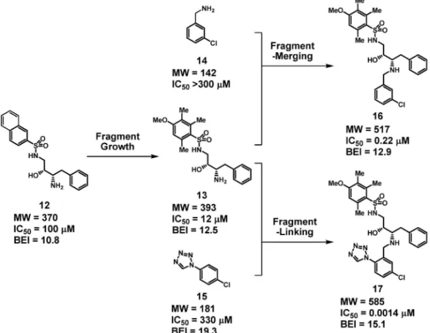 Fig. 9. Fragment-to-lead Tactics in Practice 冒頭にも述べたように，FBDD は従来のリード探 索手法と相補的なものであり，それらとのシナジー を模索すべきものである．FBDD が独善的に存在 するのではなく，従来のリード探索手法への付加と して総合力を高め，これからの創薬研究の加速と成 功確度の向上を図る，これが FBDD の狙いである． REFERENCES