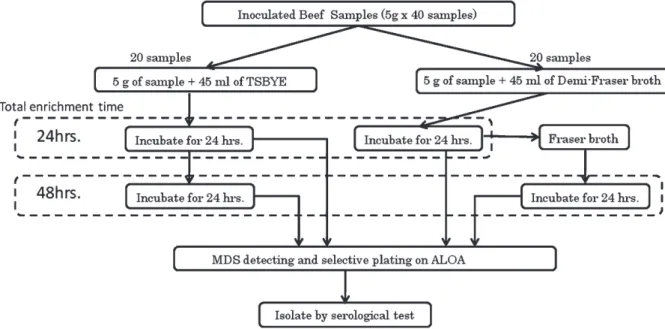 図 2 ．MDS と培養法での L. monocytogenes 検出比較実験のスキーム