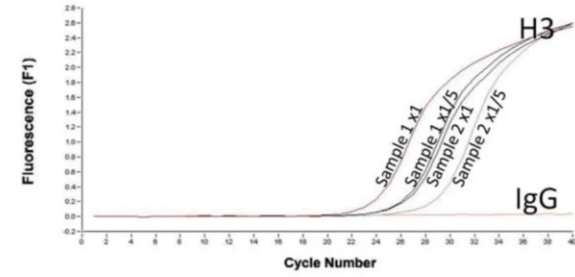 図 1. DNA 断片化の解析