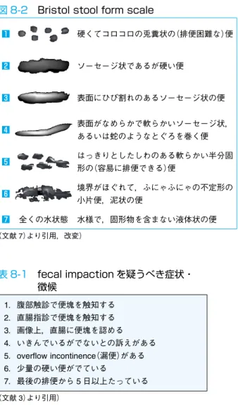 図 8-2 Bristol stool form scale
