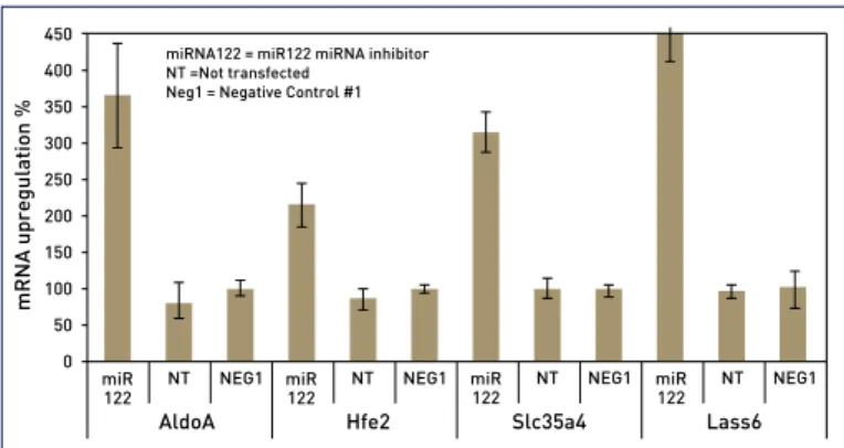 図 9. mirVana™ miRNA mimics  および mirVana™ miRNA inhibitors  の働き