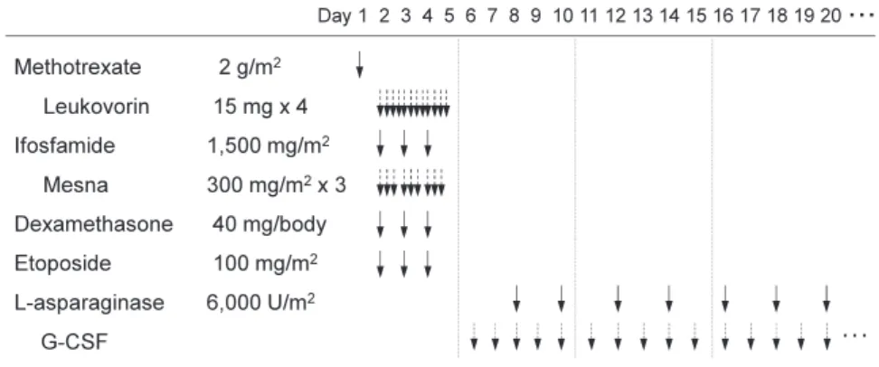 Fig. 2 SMILE chemotherapy for NK-cell malignancy