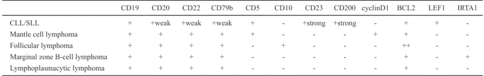 Fig. 7.  Mantle cell lymphoma. This case is composed  of lymphoma cells, which are almost the same size as  small lymphocytes, and was difficult to distinguish  from small lymphocytic lymphoma without  immuno-histological examination.