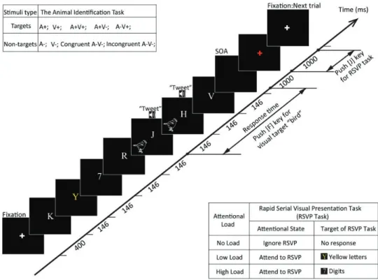 Figure 2. A schematic representation trial in which both the animal identification task and the RSVP task were run simultaneously