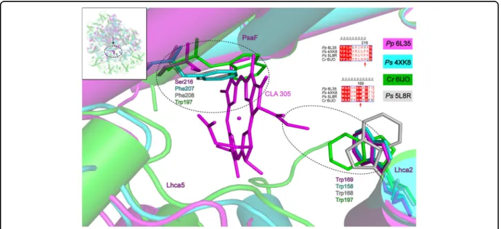 Fig. 2 Structural comparison of PsaF among P . patens , P . sativum , and C . reinhardtii 